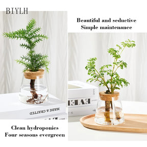 Nordic Simple Transparent Glass Vases Home Decorative Hydroponic Plant Vase Creative Tabletop Ornament Flower Arrangement Bottle