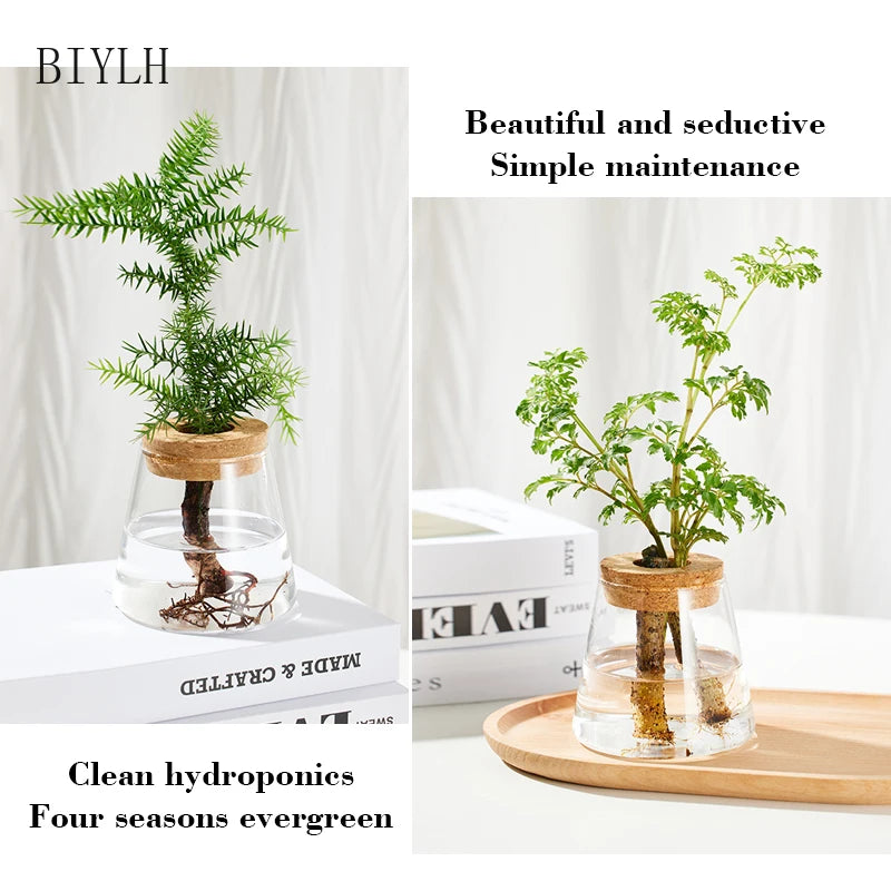 Nordic Simple Transparent Glass Vases Home Decorative Hydroponic Plant Vase Creative Tabletop Ornament Flower Arrangement Bottle